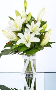 THE MASARATI OF ALL LILYS