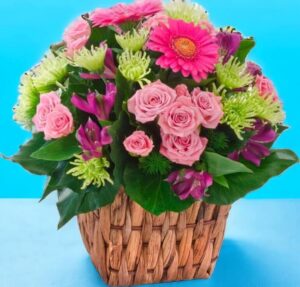 SUGAR AND SPICE AND ALL THINGS NICE